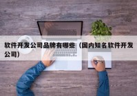 软件开发公司品牌有哪些（国内知名软件开发公司）