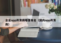 企业app开发商哪里有名（国内app开发商）