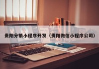 贵阳分销小程序开发（贵阳微信小程序公司）