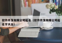 软件开发有限公司起名（软件开发有限公司起名字大全）