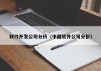 软件开发公司分析（中国软件公司分析）