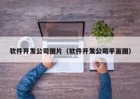 软件开发公司图片（软件开发公司平面图）