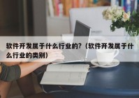 软件开发属于什么行业的?（软件开发属于什么行业的类别）