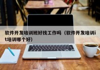 软件开发培训班好找工作吗（软件开发培训it培训哪个好）