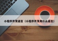 小程序开发语言（小程序开发用什么语言）