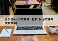 什么是app开发费用一览表（app软件开发的费用）