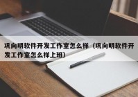 巩向明软件开发工作室怎么样（巩向明软件开发工作室怎么样上班）