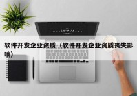 软件开发企业资质（软件开发企业资质丧失影响）