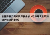 软件开发公司知识产权保护（软件开发公司知识产权保护条例）